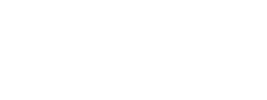 Agent de sécurité Lyon 1